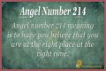 
ANGEL NUMBER 214
