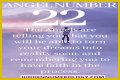 
ANGEL NUMBER 22
