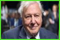 David Attenborough Net Worth, Age, Height, Bio, Birthday, Wiki!