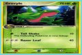 Grovyle (EX Emerald 28) - Bulbapedia, the community-driven Pokémon encyclopedia
