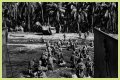 WWII's Most Daring Raids - Smithsonian Channel